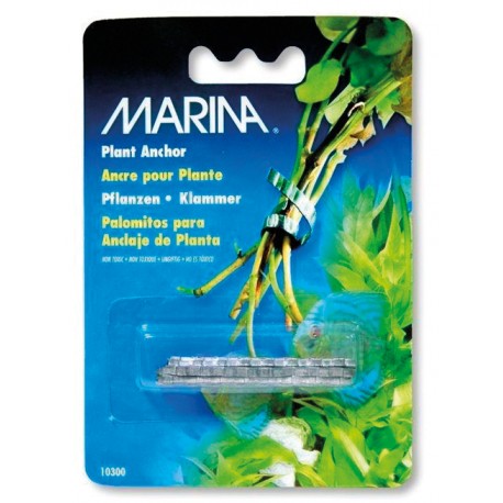 ANCORAS P/ PLANTAS 12 UNID. 5,5 x 2 cm
