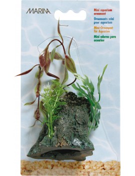 DECORACAO "DECO WOOD" MINI C/ PLANTA