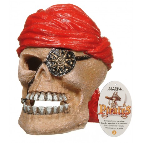 DECORACAO em RESINA Cranio Pirata 7x9x8cm