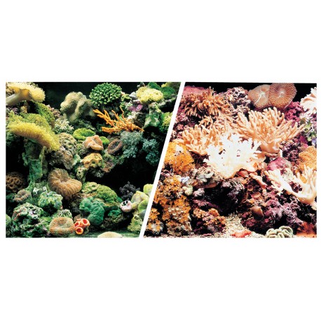 POSTER D.F.RECIEFE/CORAL 7,5MTx45CM