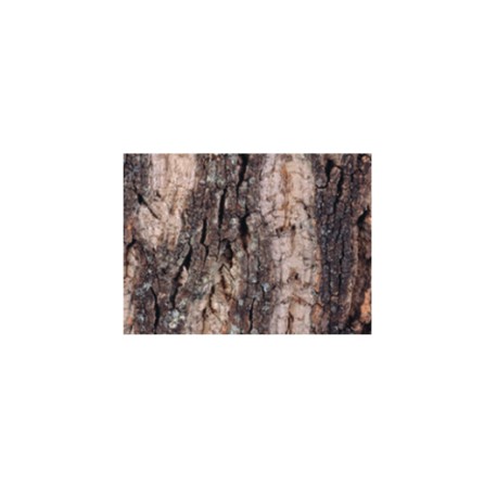 FUNDO EM RESINA - CORTICA 60X4X45XM