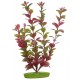 PLANTA 30 CM RED LUDWIGIA - BLI.