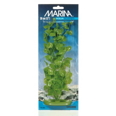 PLANTA 30 CM CAROAMINE - BLI.