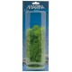 PLANTA 12,5 CM HORNWORT - BLI.