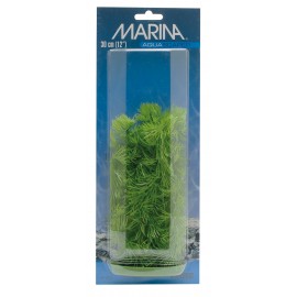PLANTA 30 CM HORNWORT - BLI.