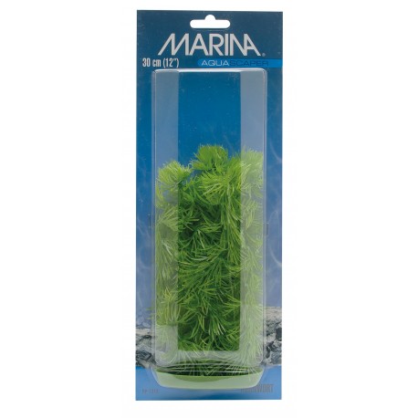 PLANTA 30 CM HORNWORT - BLI.