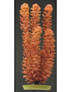 PLANTA 30 CM FOXTAIL - BLI.
