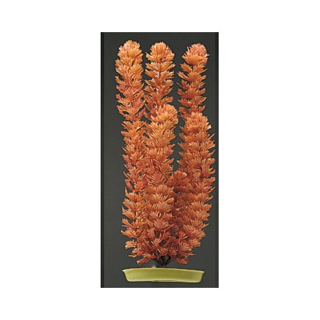 PLANTA 20 CM FOXTAIL - BLI.