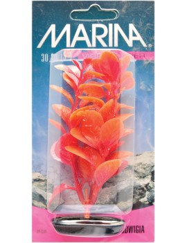 PLANTA 30CM RED LUDWIGA - BLI