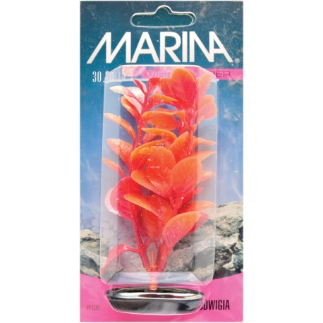 PLANTA 30CM RED LUDWIGA - BLI