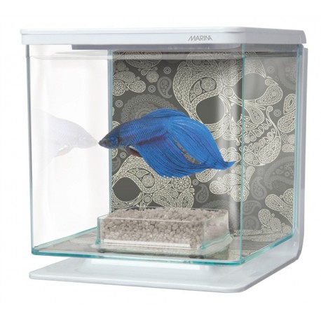 AQUARIO KIT P/BETTAS 2 Lt. SKULL
