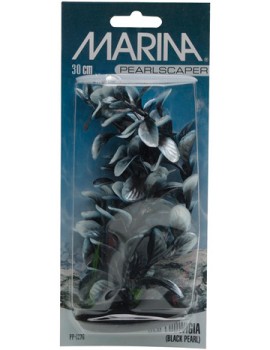 PLANTA 30CM RED LUDWIGA  (BLACK PEARL) - BLI