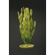 PLANTA 20 CM JUNGLE VALLISNERIA - BLI.