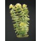 PLANTA 37,5 CM HORWORT