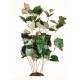 PLANTA 30 CM WATER CHESTNUT