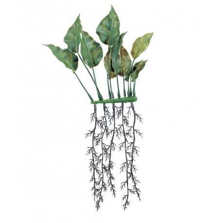 PLANTA 15 CM ANUBIAS, 2 UNID.