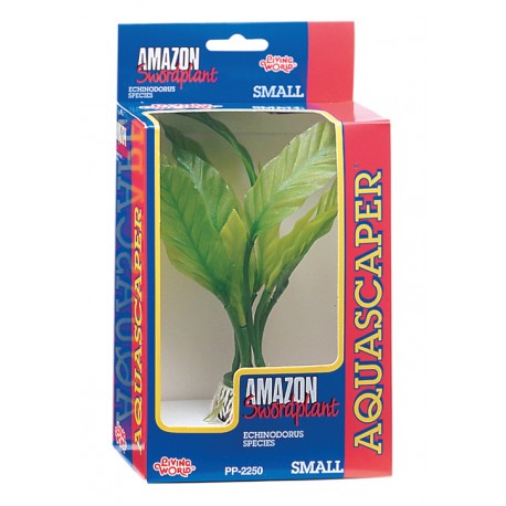 PLANTA AMAZON SWORD PQ.-CX
