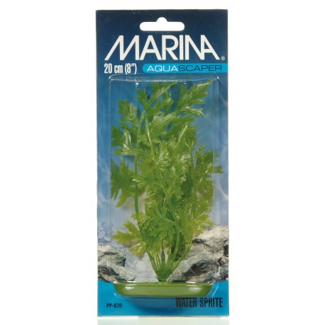 PLANTA 20 CM WATER SPRITE - BLI.