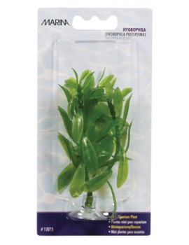PLANTA 10CM MARINA HYGROPHILA-BLISTER