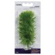 PLANTA 10CM MARINA HORNWORT-BLISTER