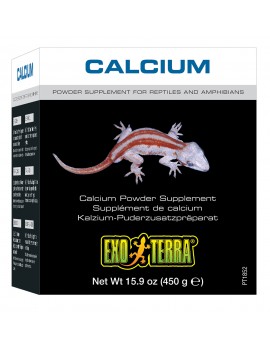 CALCIO SUPLEMENTO EM PO 450GR