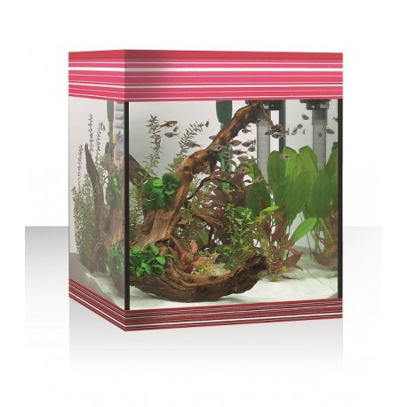 AQUÁRIO KIT PURE LED, 44L, BORDÔ
