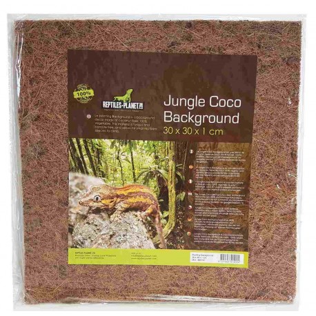 FUNDO P/TERRARIO JUNGLE COCO 30X30X1CM
