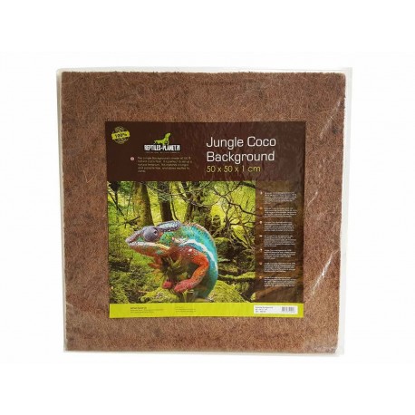 FUNDO P/TERRARIO JUNGLE COCO 50X50X1CM