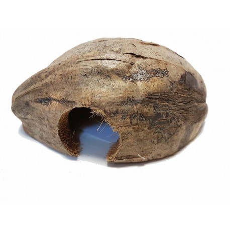 ESCONDERIJO CAVERNA DE COCO