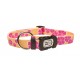 COLEIRA AJUST.ALOHA AMAR, L,40/55CM X 19,1MM