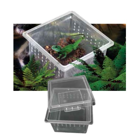 CAIXA DE CRIAÇÃO XS 6,8X6,8X4,5CM