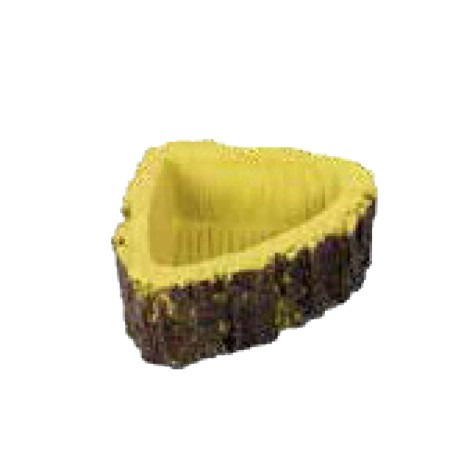 COMEDOURO FOREST DISH XS