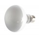 LÂMPADA REPTI UVA NEODYMINIUM DIA 50W