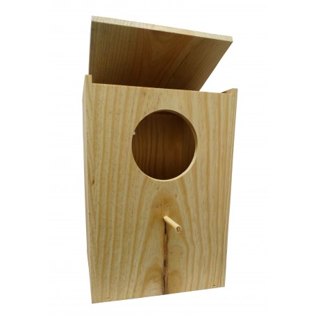 NINHO CATURRA VERTICAL S/REDE