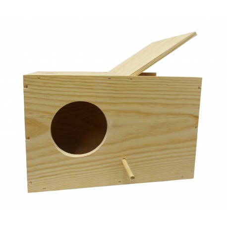 NINHO CATURRA HORIZONTAL