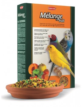 MÉLANGE FRUIT | ALIMENTO COMPLEMENTAR P/AVES GRANÍVORAS - 300G