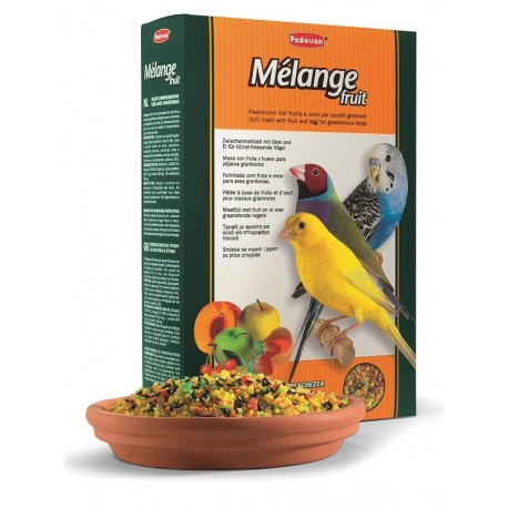 MÉLANGE FRUIT | ALIMENTO COMPLEMENTAR P/AVES GRANÍVORAS - 300G