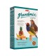 GRANDMIX ESOTICI | RAÇÃO COMPLETA P/AVES EXÓTICAS - 400GR