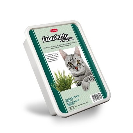 ERBAGATTA CAT GRASS | ERVA P/CULTIVAR EM CASA P/GATOS