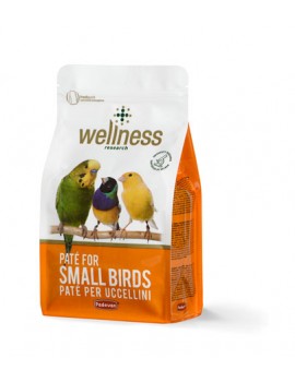PATÉ PREMIUM PEQ. AVES, 600g, WELLNESS