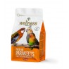 PATÉ PREMIUM PSITACIDEOS, 600g, WELLNESS