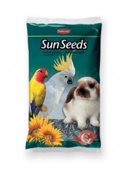 SUNSEEDS | SEMENTES DE GIRASSOL - 500GR