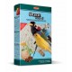 OCEAN FRESH AIR | GRIT HIGIÉNICO C/CONCHAS E AROMA ERVA-DOCE - 1KG