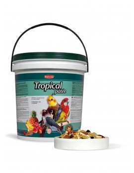 TROPICAL PÂTÉE PADOVAN | ALIMENTO COMPLEMENTAR P/PAPAGAIOS DE MÉDIO PORTE - 5KG
