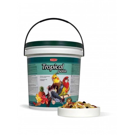 TROPICAL PÂTÉE PADOVAN | ALIMENTO COMPLEMENTAR P/PAPAGAIOS DE MÉDIO PORTE - 5KG