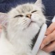 CONJUNTO DE HIGIENE PARA GATOS DE PELO COMPRIDO | CATIT