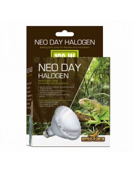 LAMPADA ALOGENA 100W