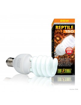 REPTILE UVB150 COMPACT 10.0 25W | LÂMPADA PARA TERRÁRIO DO DESERTO EXO TERRA