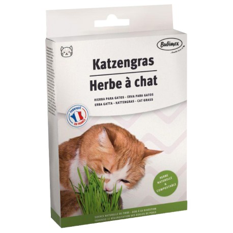 ERVA DE GATOS BUBIMEX - 100G