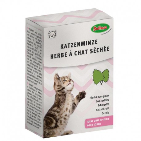 ERVA DE GATO BUBIMEX | COM CATNIP - 20G